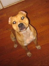 Pac Man 10 months old