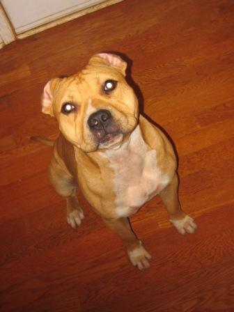 Pac Man 10 months old