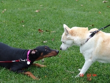 Capri and her friend Inuki