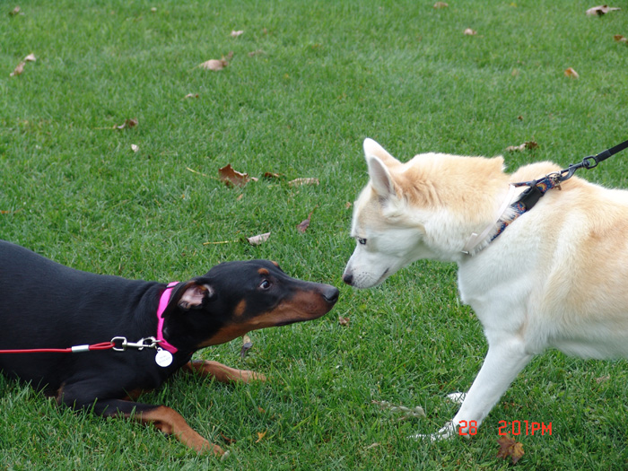 Capri and her friend Inuki