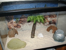 ten gal.