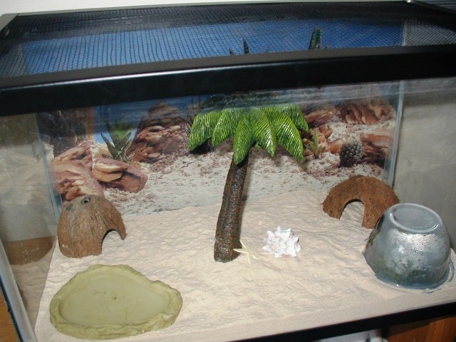 ten gal.