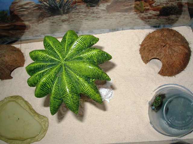 10 gal. top view